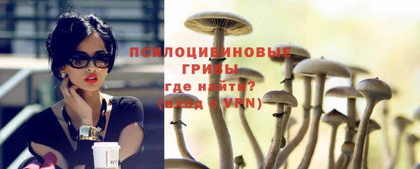ешки Мегион