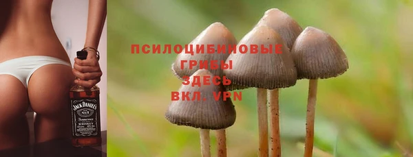 ешки Мегион
