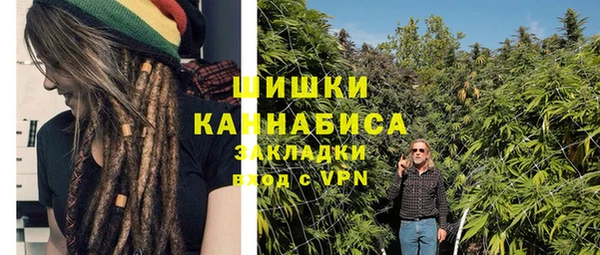 ешки Мегион
